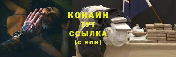 Альфа ПВП Лагань