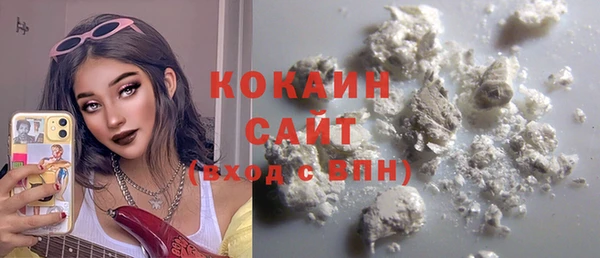 Альфа ПВП Лагань