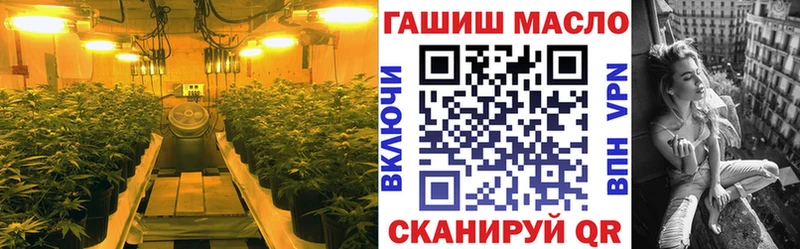 Дистиллят ТГК Wax  kraken как войти  Урус-Мартан  что такое  