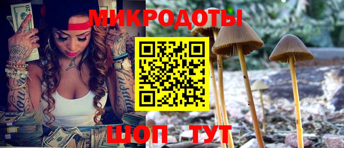 Псилоцибиновые грибы MAGIC MUSHROOMS Урус-Мартан