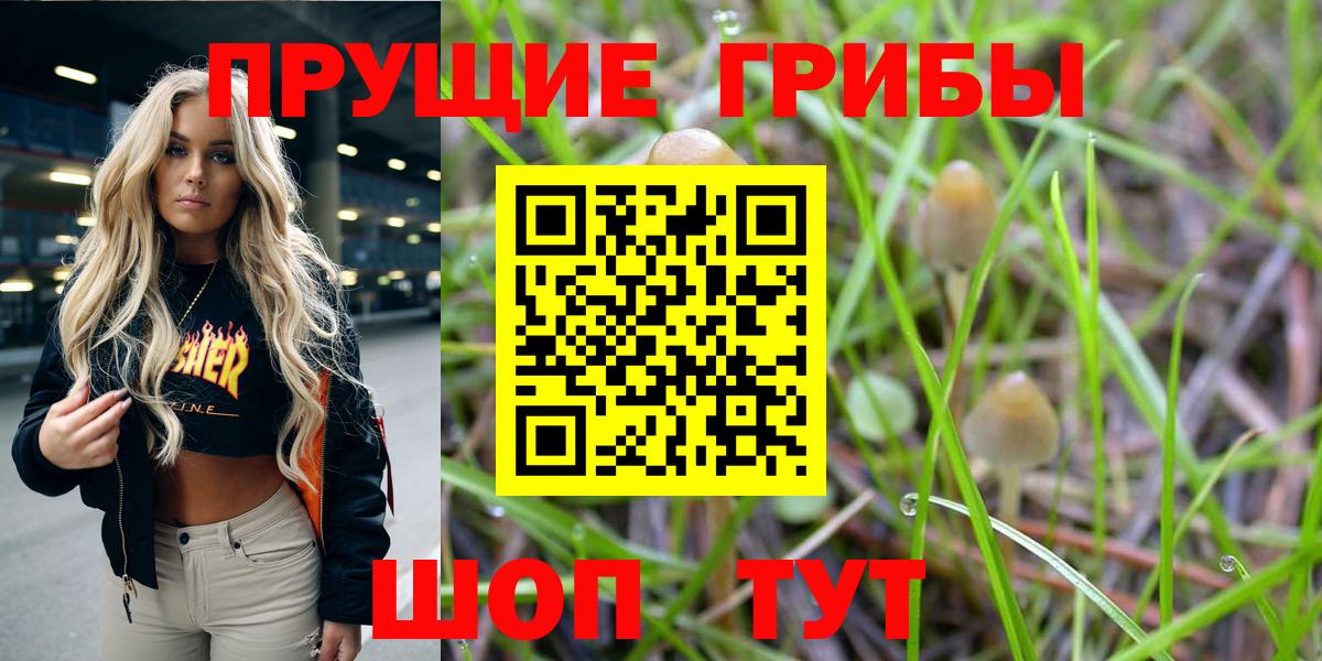 Урус-Мартан  Галлюциногенные грибы мухоморы  Вход с VPN  Псилоцибиновые грибы мицелий 