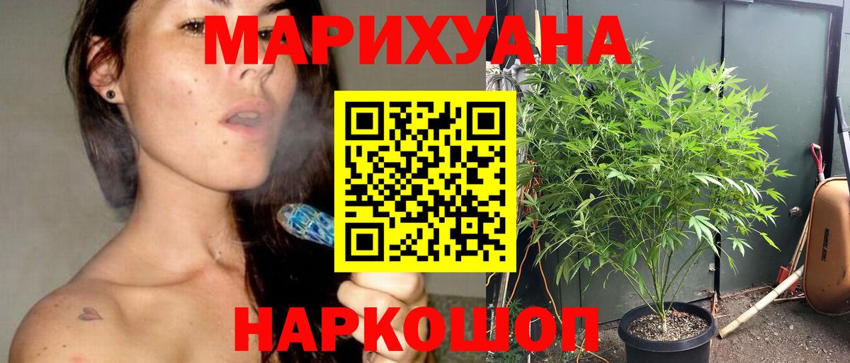 Бошки марихуана Bruce Banner Урус-Мартан